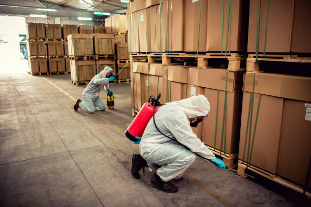 Best Best Pest Control Near Me  in New Richmond, WI
