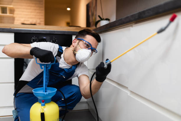 Best Affordable Pest Control Services  in New Richmond, WI