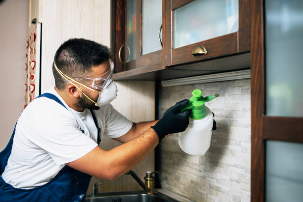 Best Pest Inspection Near Me  in New Richmond, WI