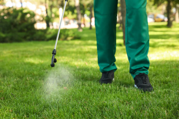 Best Pest Control Near Me in New Richmond, WI