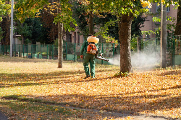 Best Cockroach Control Services  in New Richmond, WI