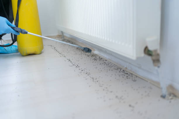 Best Pest Prevention Services  in New Richmond, WI